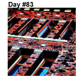 Day Eighty-Three: Open Windows! 